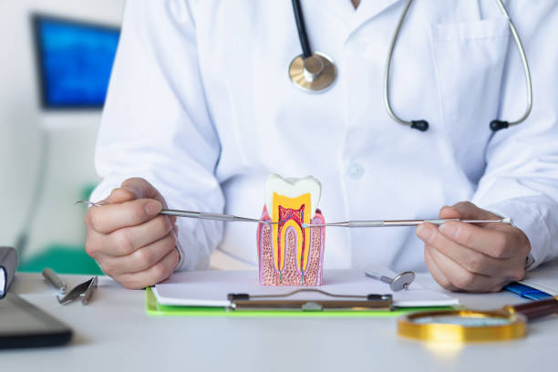 Best Emergency Dental Services for Seniors in Tuckahoe, NY